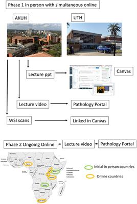 Development of an online teaching platform to improve access to postgraduate pathology training in sub-Saharan Africa